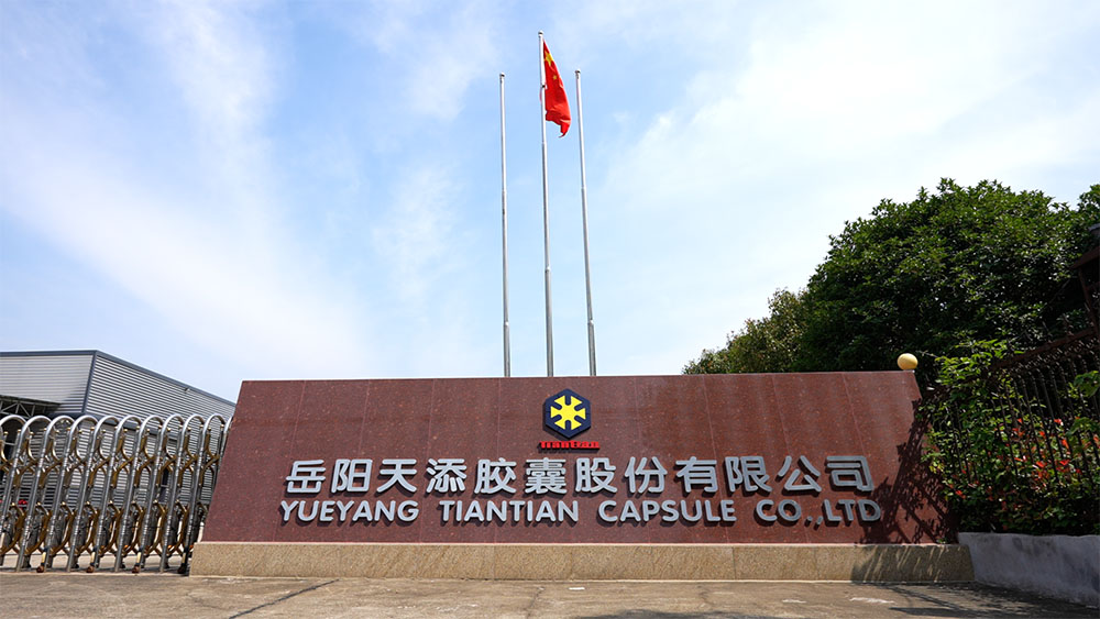 Company's gate