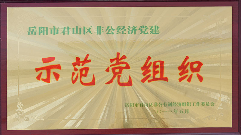 Junshan District Non public Economy Demonstration Party Organization